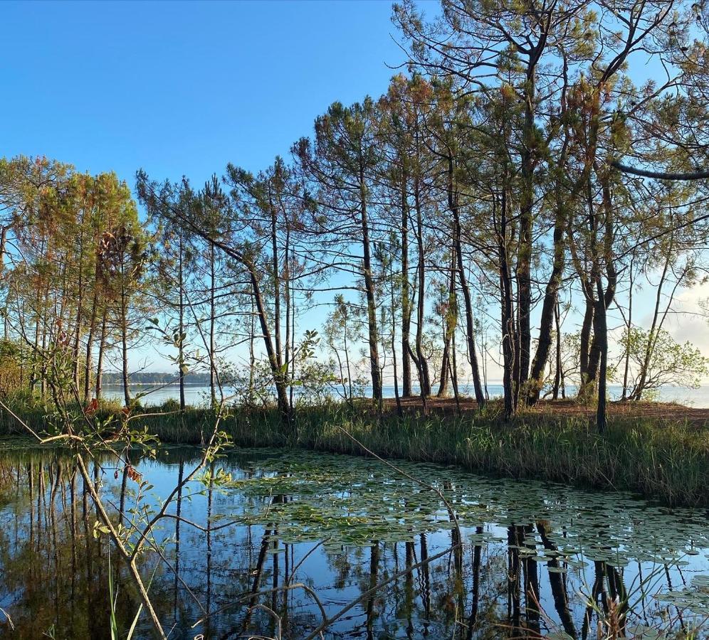Apt Les Grands Pins, Entre Foret, Lac Et Ocean カルカン エクステリア 写真