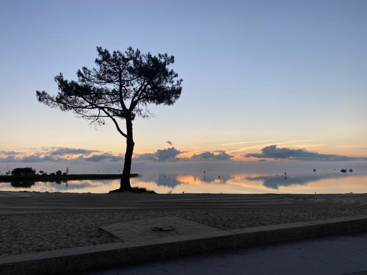 Apt Les Grands Pins, Entre Foret, Lac Et Ocean カルカン エクステリア 写真