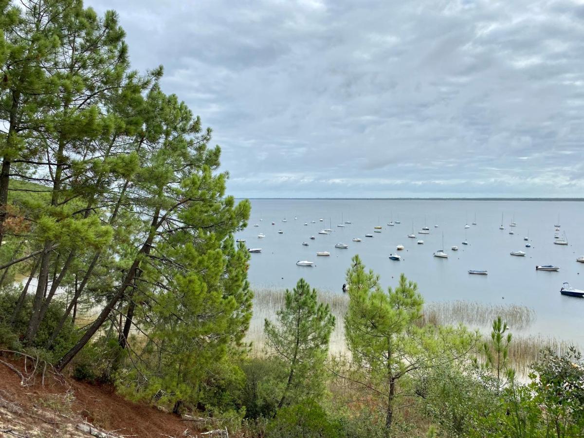 Apt Les Grands Pins, Entre Foret, Lac Et Ocean カルカン エクステリア 写真