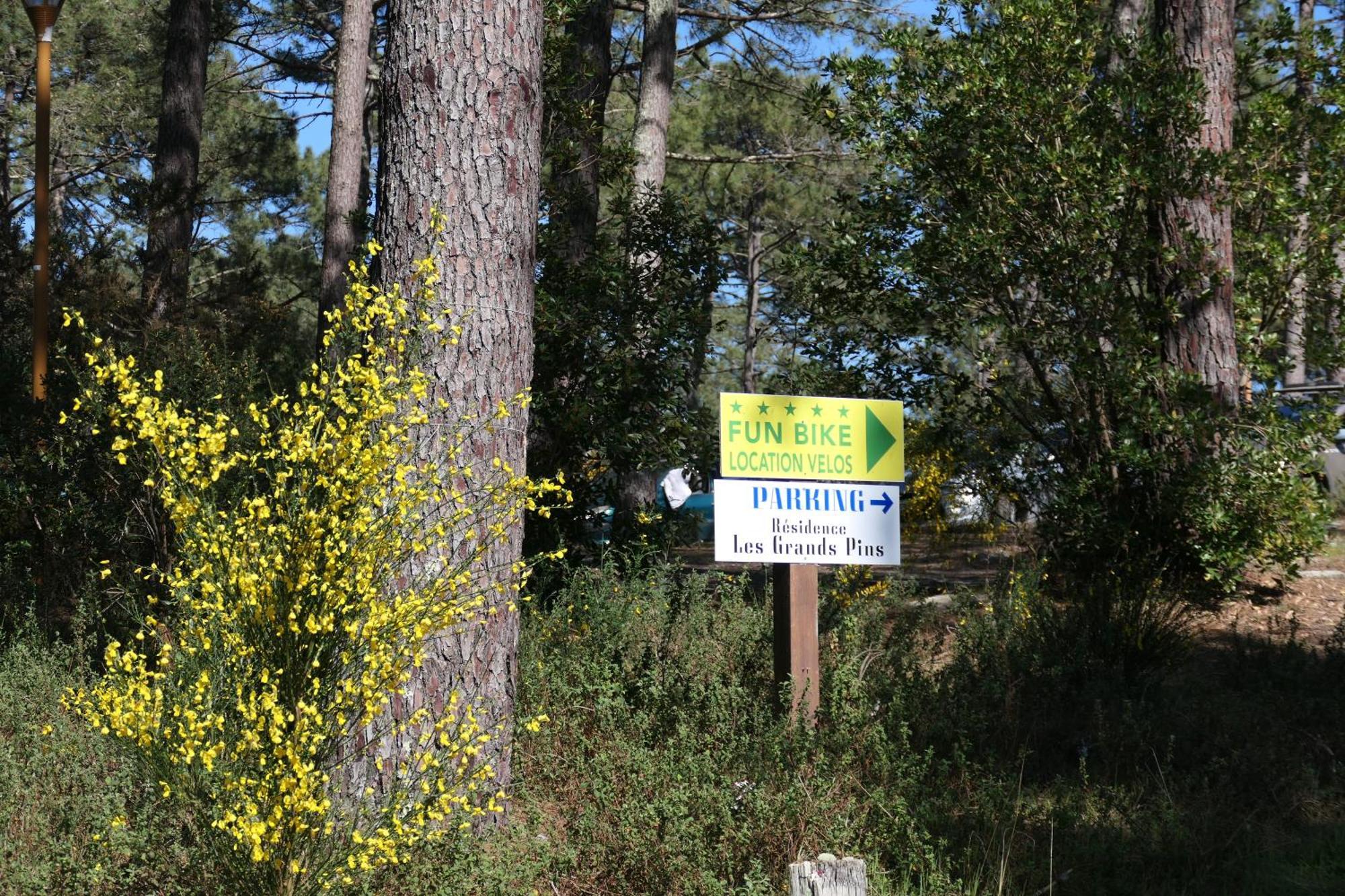 Apt Les Grands Pins, Entre Foret, Lac Et Ocean カルカン エクステリア 写真